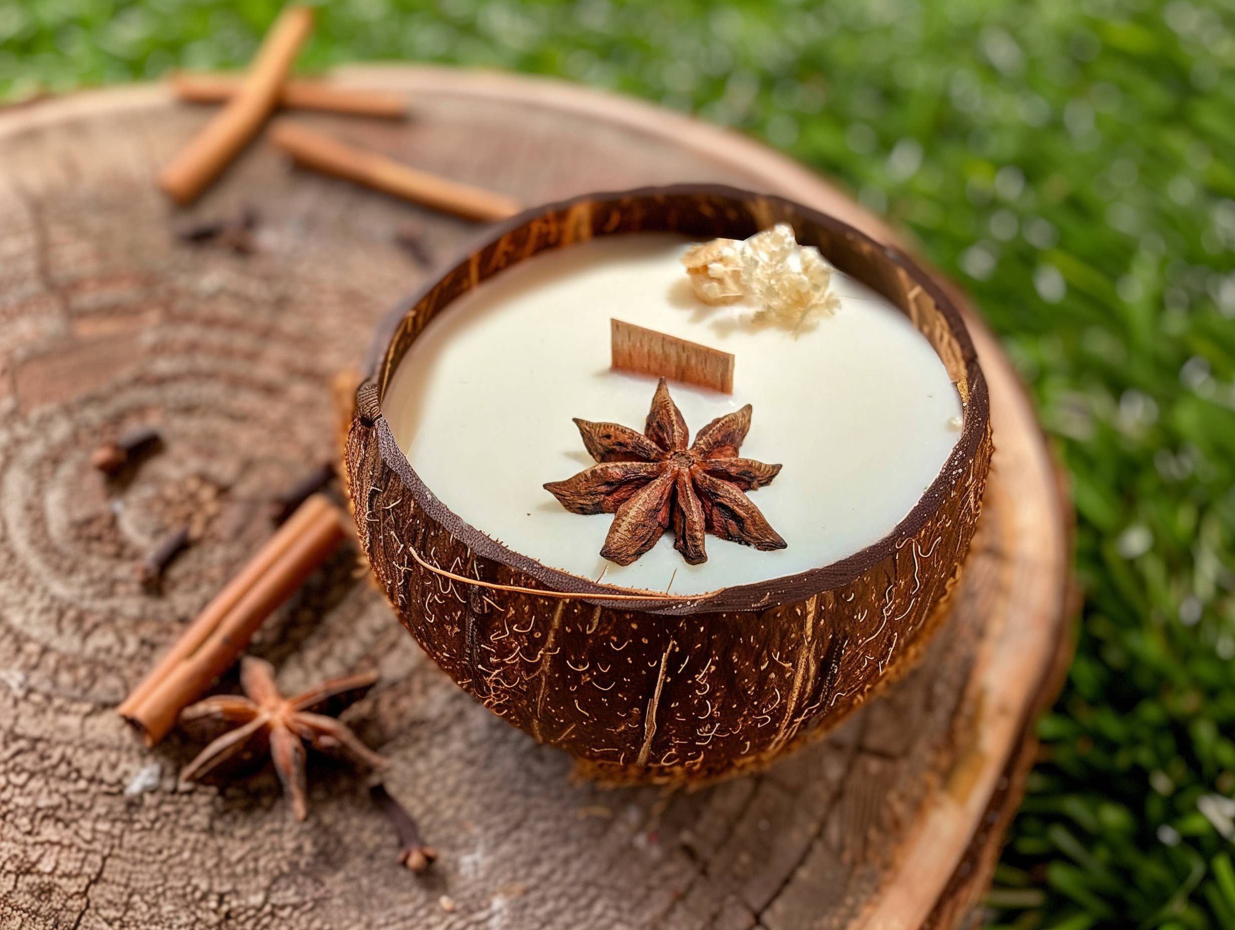 La bougie qui devient plante Vanille modèle "coco"