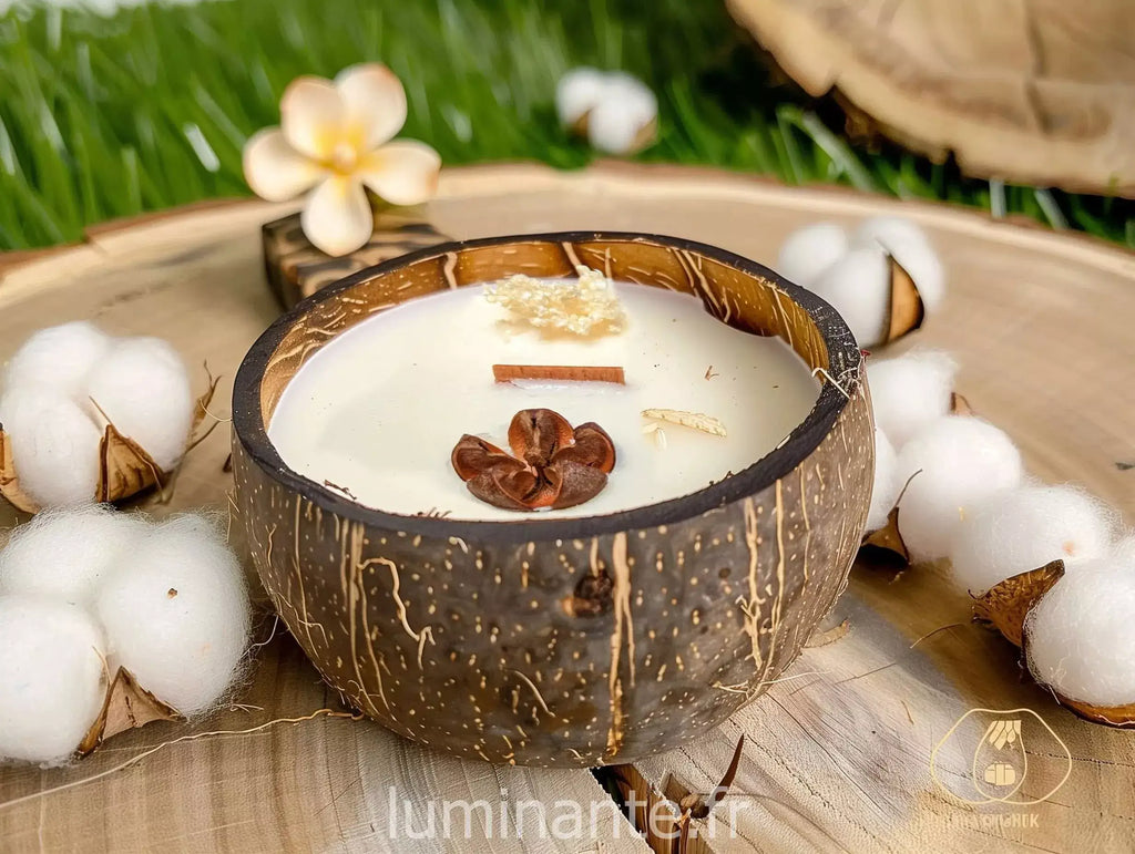 La Bougie qui devient plante Fleur de Coton modèle "coco"