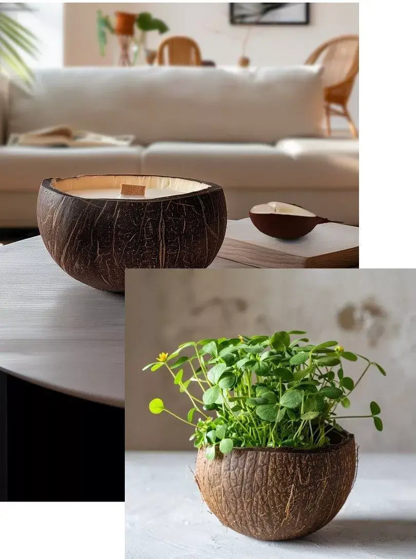 La bougie qui devient plante Vanille modèle "coco"