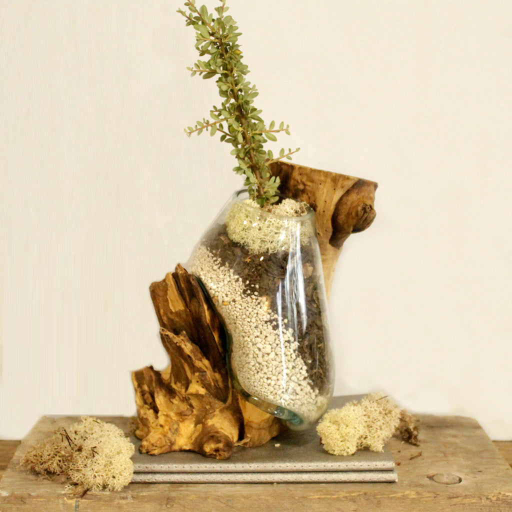 Vase en Verre Soufflé sur Racine - Asymétrique