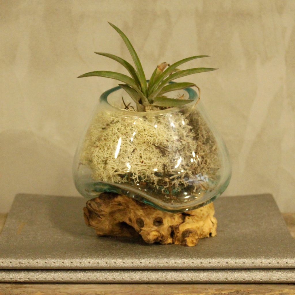 Vase en Verre Soufflé sur Racine - Petit