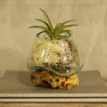 Vase en Verre Soufflé sur Racine - Petit